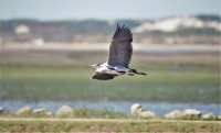 Caminhos Pedonais Ria de Aveiro